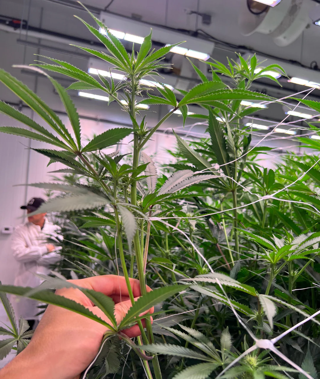 Welcome to Our Store